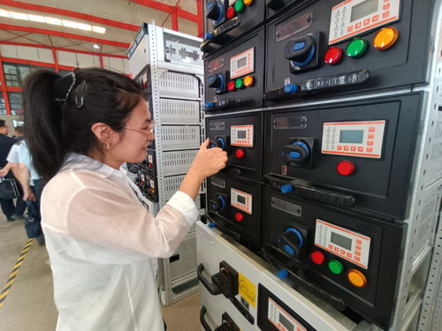 建設(shè)國(guó)家區(qū)域中心城市工作一線跟班學(xué)習(xí)干部赴長(zhǎng)城電氣調(diào)研